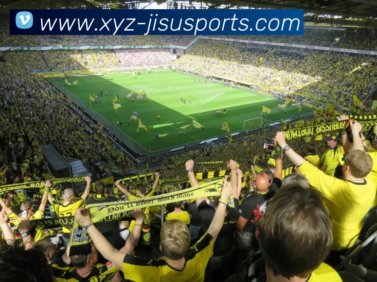 极速体育官网APP 封面图